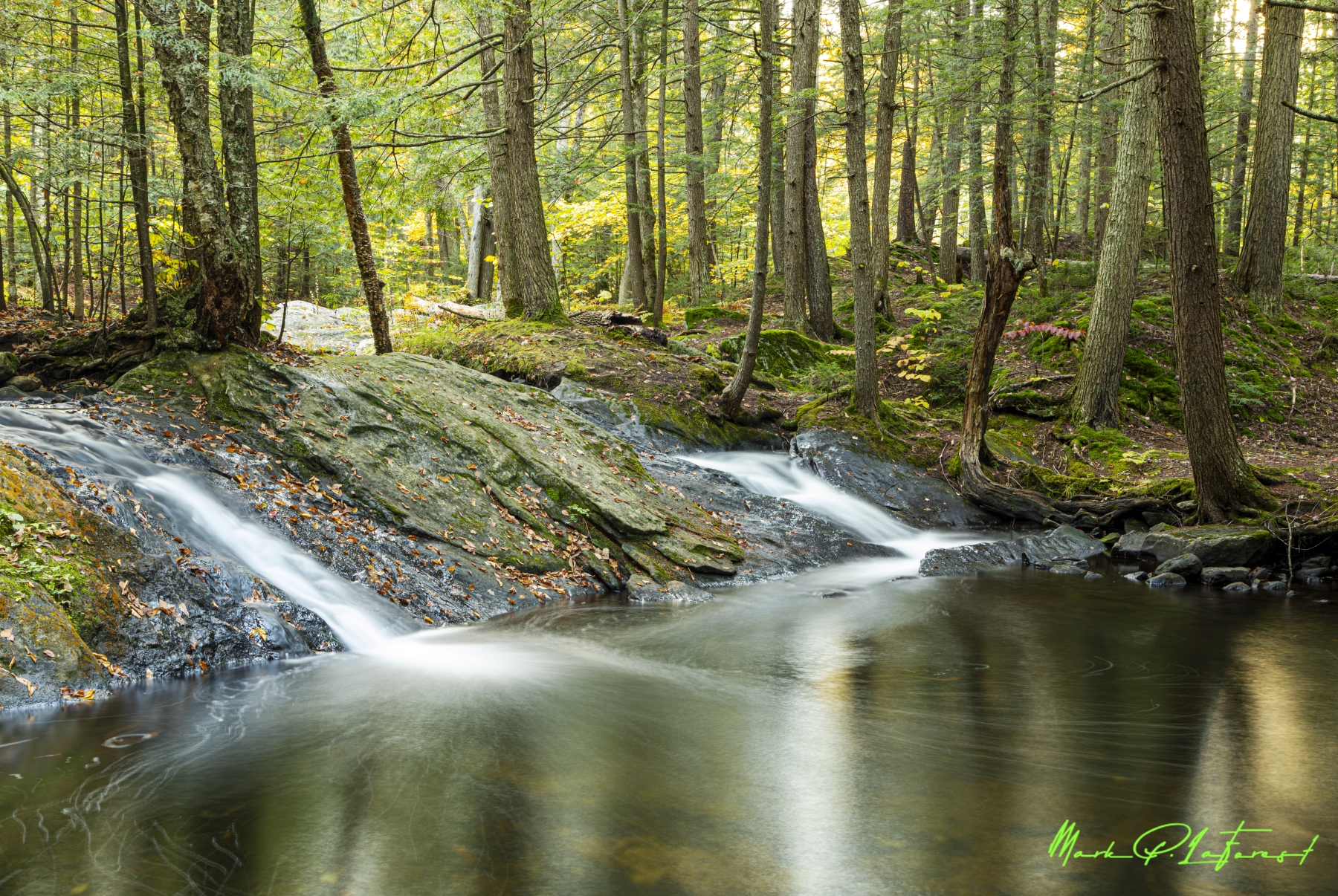 /gallery/north_america/USA/Vermont/killington/Thunder Brook Killington VT 2021-004_med.jpg